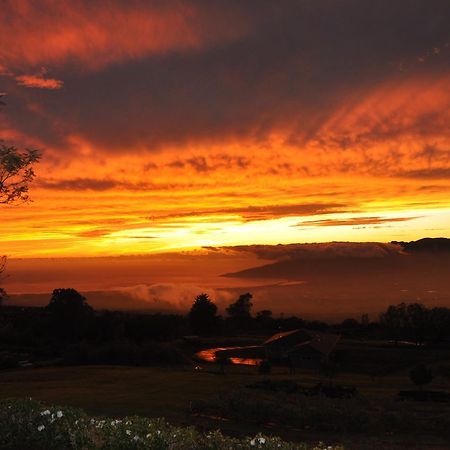 Kula 4200 Villa Luaran gambar