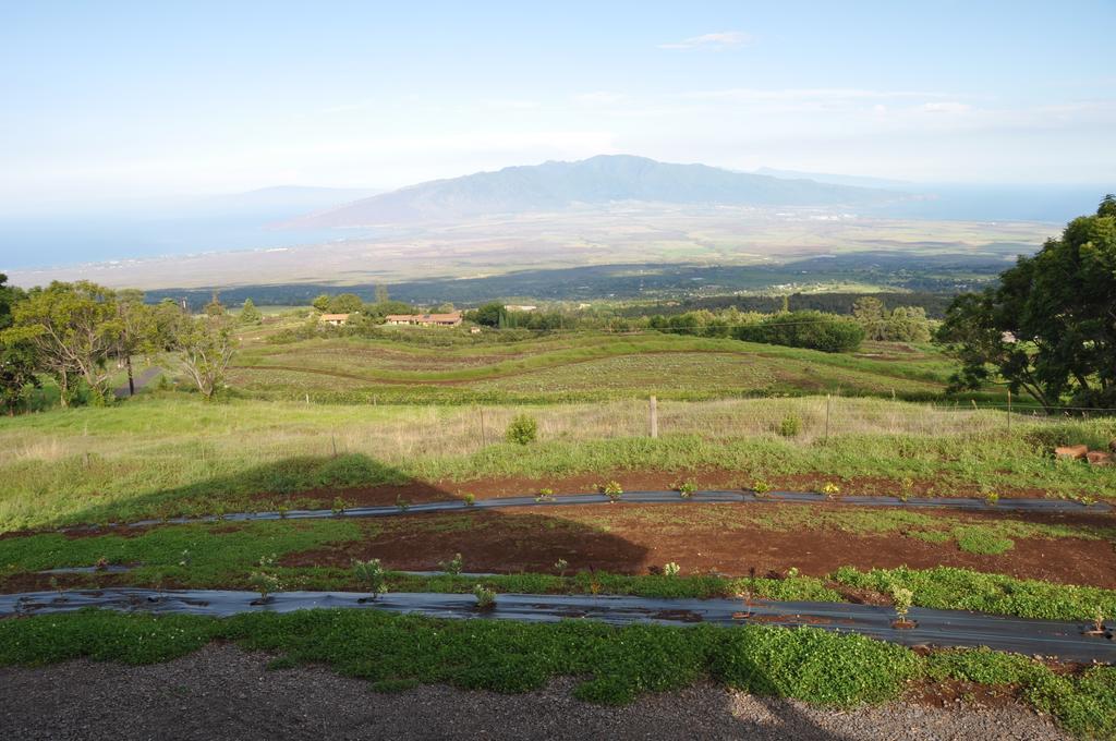 Kula 4200 Villa Luaran gambar