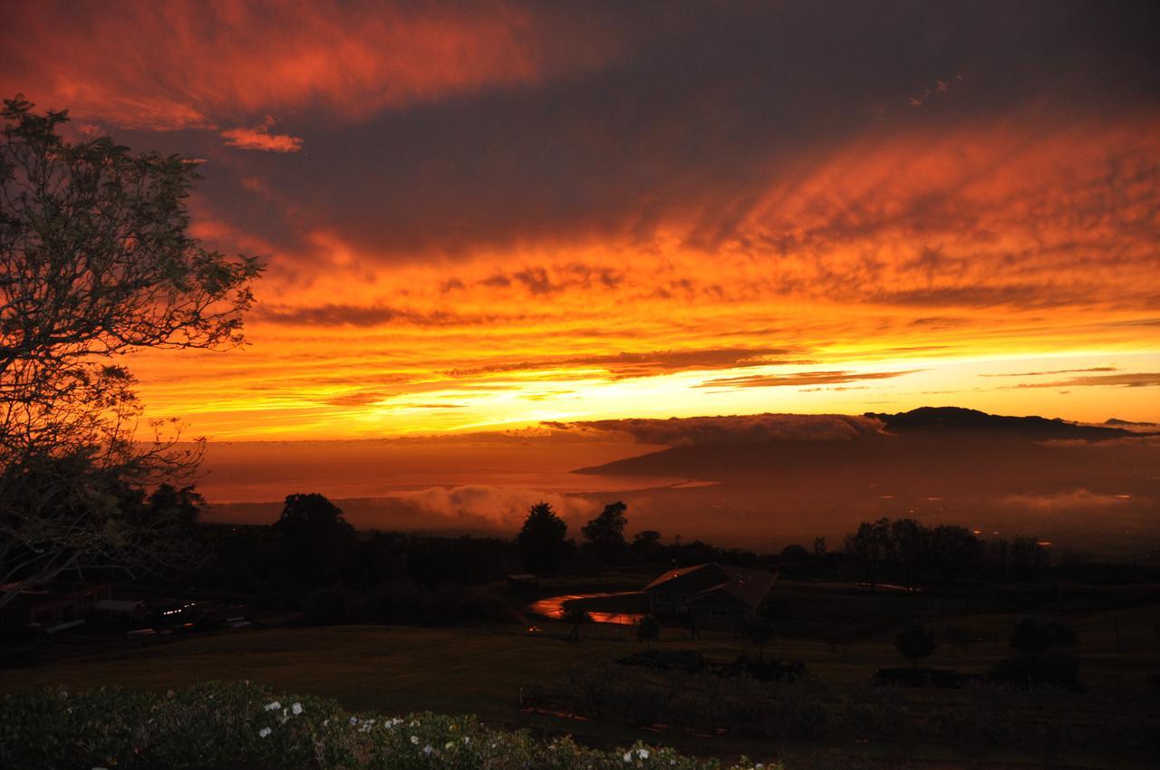 Kula 4200 Villa Luaran gambar
